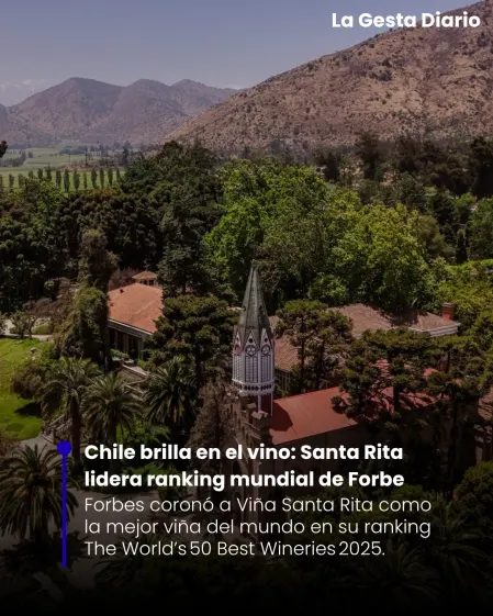 Chile brilla en el vino: Santa Rita lidera ranking mundial de Forbe