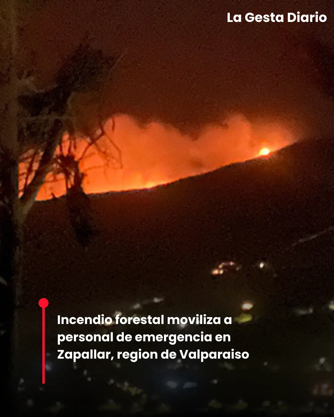 Incendio forestal moviliza a personal de emergencia en Zapallar