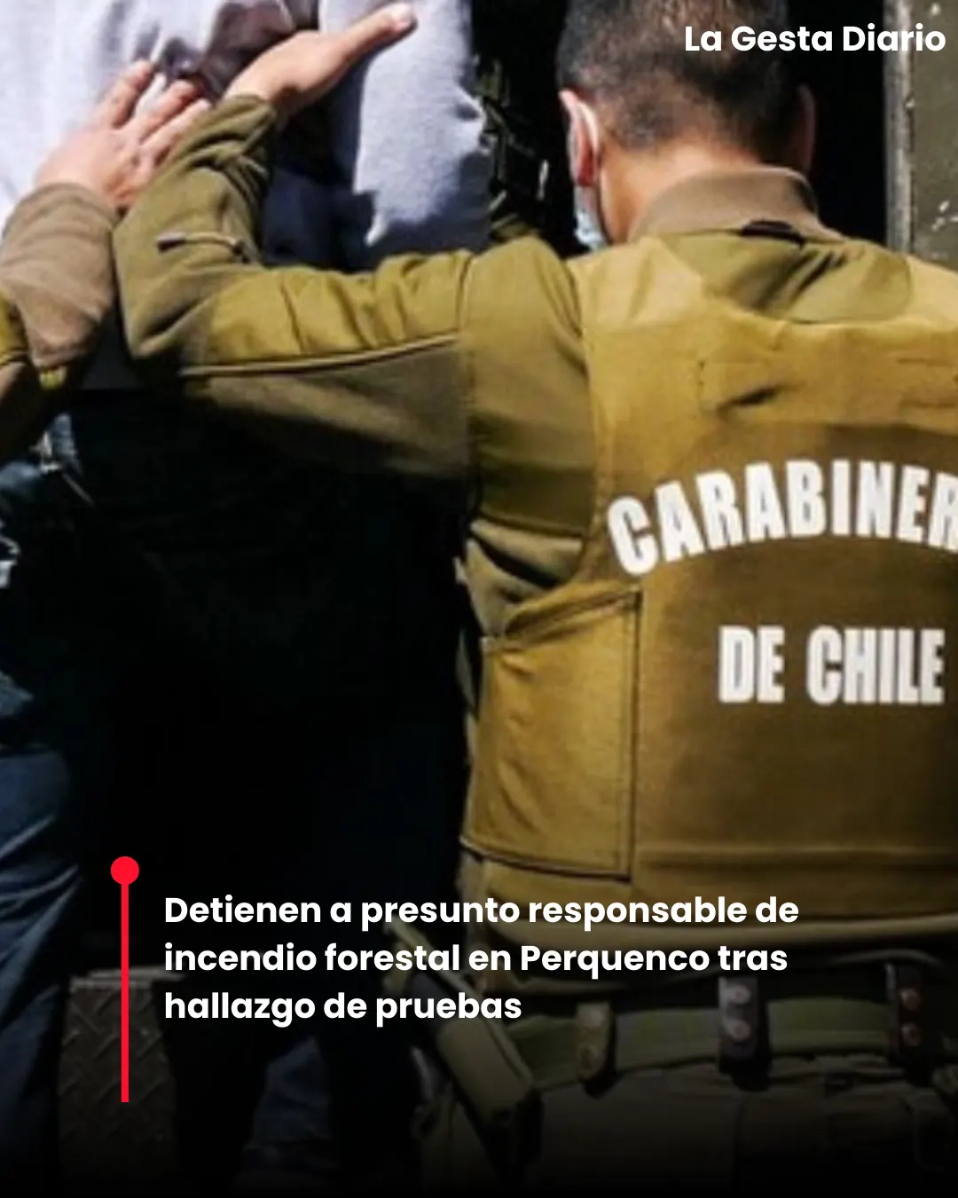 Detienen a presunto responsable de incendio forestal en Perquenco tras hallazgo de pruebas