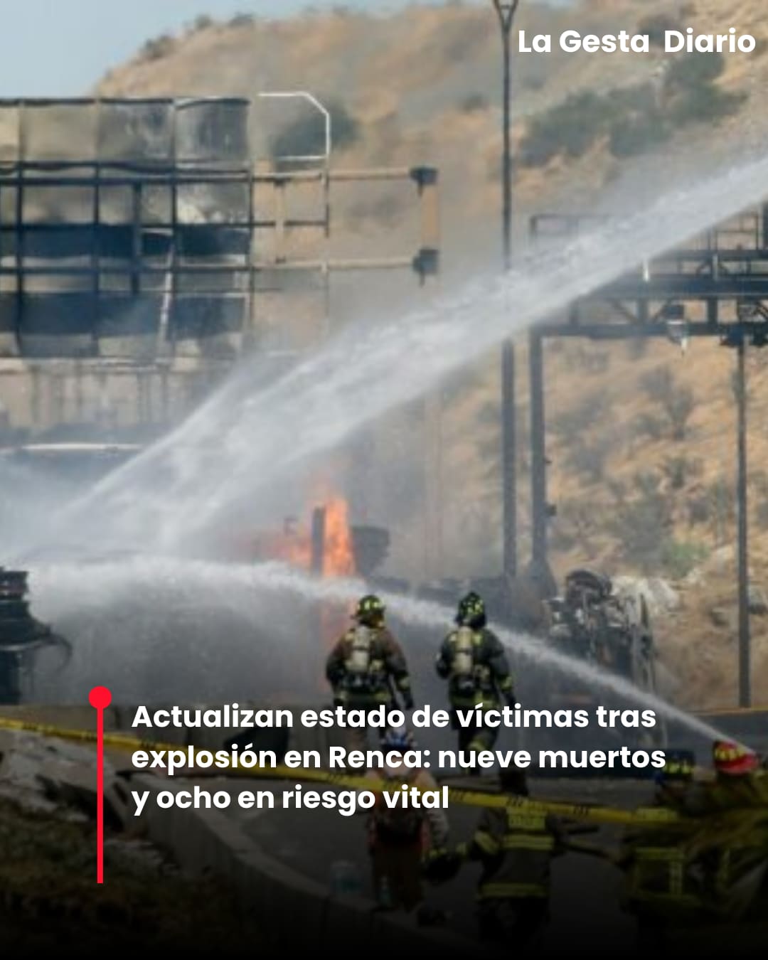 Foto: BioBioChile