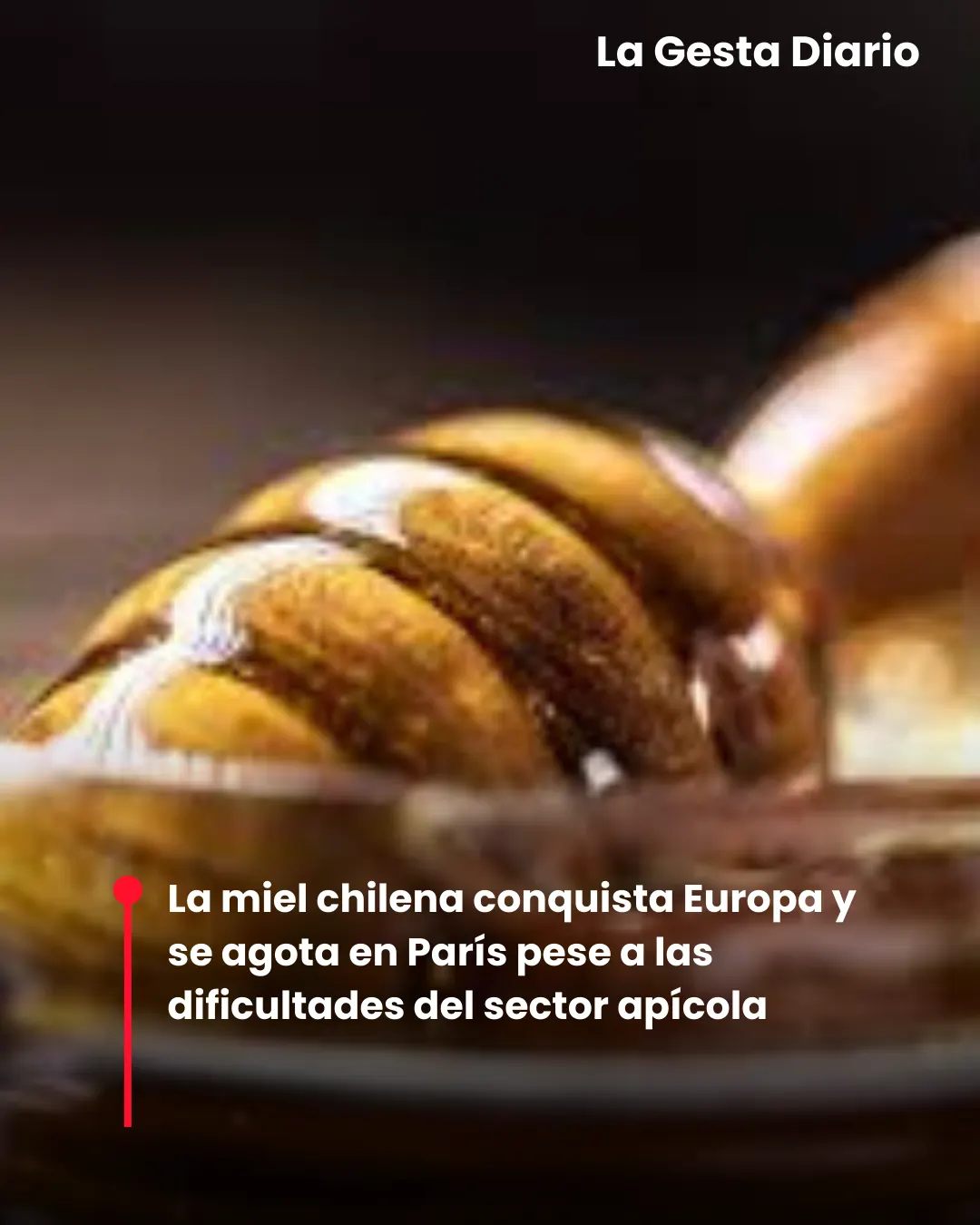 La miel chilena conquista Europa y se agota en París pese a las dificultades del sector apícola