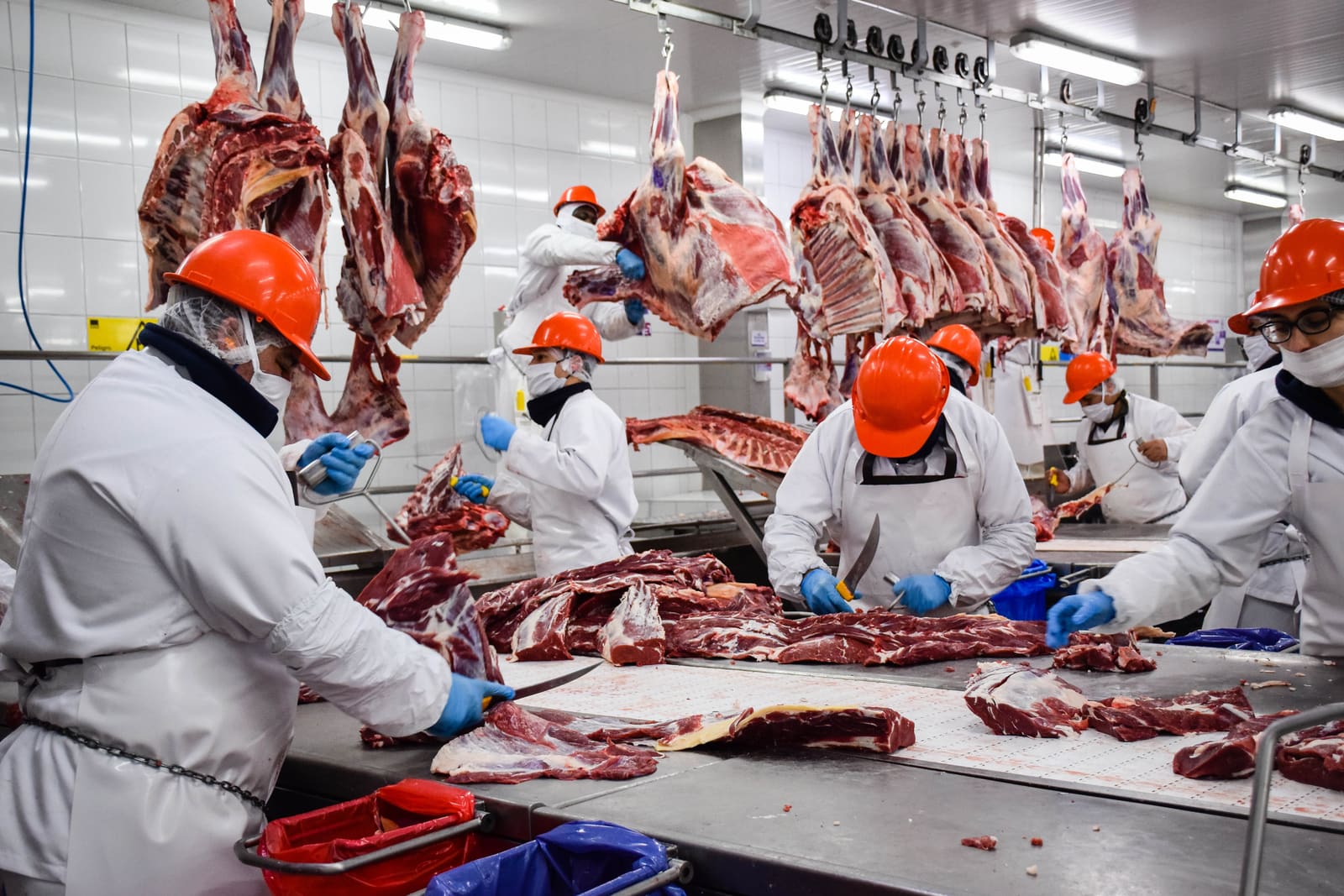 El robo y el comercio ilegal de carne por medio de facebook , es un gran problema de la comerlización de ganadero